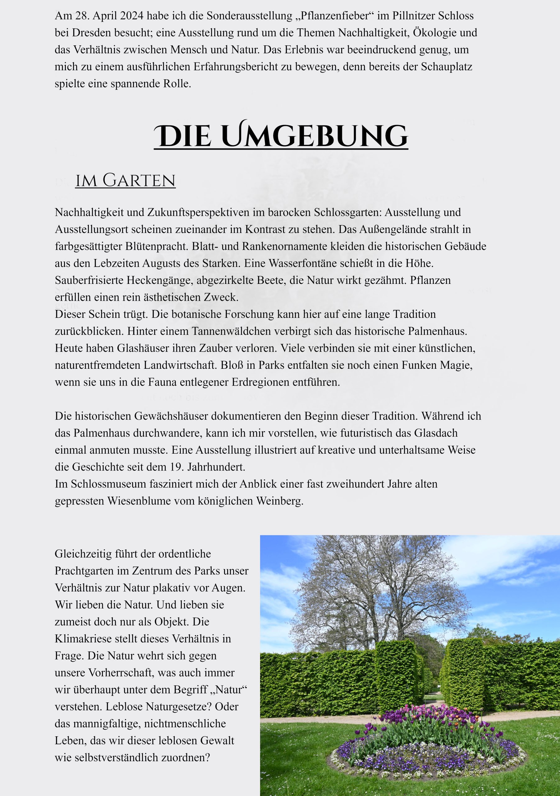 Am 28. April 2024 habe ich die Sonderausstellung „Pflanzenfieber“ im Pillnitzer Schloss bei Dresden besucht; eine Ausstellung rund um die Themen Nachhaltigkeit, Ökologie und das Verhältnis zwischen Mensch und Natur. Das Erlebnis war beeindruckend genug, um mich zu einem ausführlichen Erfahrungsbericht zu bewegen, denn bereits der Schauplatz spielte eine spannende Rolle. Die Umgebung Im Garten Nachhaltigkeit und Zukunftsperspektiven im barocken Schlossgarten: Ausstellung und Ausstellungsort scheinen zueinander im Kontrast zu stehen. Das Außengelände strahlt in farbgesättigter Blütenpracht. Blatt- und Rankenornamente kleiden die historischen Gebäude aus den Lebzeiten Augusts des Starken. Eine Wasserfontäne schießt in die Höhe. Sauberfrisierte Heckengänge, abgezirkelte Beete, die Natur wirkt gezähmt. Pflanzen erfüllen einen rein ästhetischen Zweck. Dieser Schein trügt. Die botanische Forschung kann hier auf eine lange Tradition zurückblicken. Hinter einem Tannenwäldchen verbirgt sich das historische Palmenhaus. Heute haben Glashäuser ihren Zauber verloren. Viele verbinden sie mit einer künstlichen, naturentfremdeten Landwirtschaft. Bloß in Parks entfalten sie noch einen Funken Magie, wenn sie uns in die Fauna entlegener Erdregionen entführen. Die historischen Gewächshäuser dokumentieren den Beginn dieser Tradition. Während ich das Palmenhaus durchwandere, kann ich mir vorstellen, wie futuristisch das Glasdach einmal anmuten musste. Eine Ausstellung illustriert auf kreative und unterhaltsame Weise die Geschichte seit dem 19. Jahrhundert. Im Schlossmuseum fasziniert mich der Anblick einer fast zweihundert Jahre alten gepressten Wiesenblume vom königlichen Weinberg. Gleichzeitig führt der ordentliche Prachtgarten im Zentrum des Parks unser Verhältnis zur Natur plakativ vor Augen. Wir lieben die Natur. Und lieben sie zumeist doch nur als Objekt. Die Klimakriese stellt dieses Verhältnis in Frage. Die Natur wehrt sich gegen unsere Vorherrschaft, was auch immer wir überhaupt unter dem Begriff „Natur“ verstehen. Leblose Naturgesetze? Oder das mannigfaltige, nichtmenschliche Leben, das wir dieser leblosen Gewalt wie selbstverständlich zuordnen?